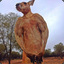 Kangaroo Jacked