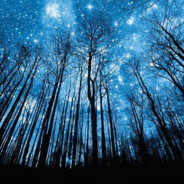 呀！农民山里水没有啦