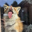 ナギエワ