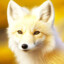 Yellow Fox