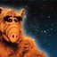 Alf