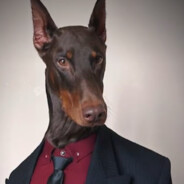 ZERCYYYYYYYYYYYYYYYYY