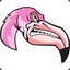 Pink_Flamingo