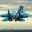 The Sukhoi Su-33 Flanker-D