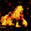 FireHorse