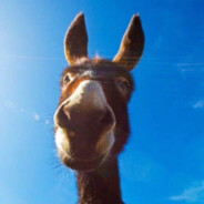 电子厂第一螺丝手