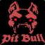 Pitt Bull