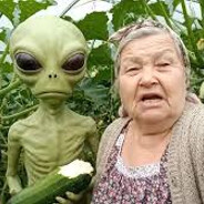 инапришеленец