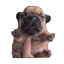 PIBBLE