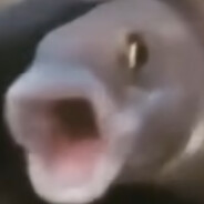 要不要救这条鱼