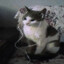 kore