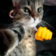 你也想和老爹斗一斗吗