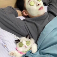 蜡笔不小心bala_bala