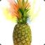 Pineapples Trading .CO