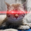 滅