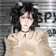 高端敌人的队友形态