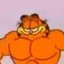 the real garfield