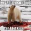 POLARbear