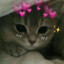 Marik