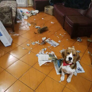 jgonzalezvillalobos89