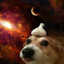 Dog with garlic on head in space