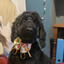 Humphrey