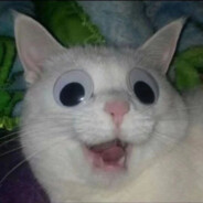 终究是我成了小丑