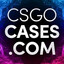 CS2CASES.PROpink