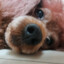 王小明