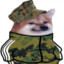 Ksandryjski