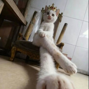 графін з пивом