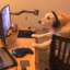 TheGamingDog