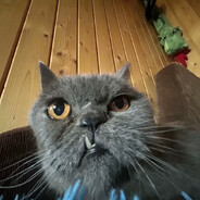 Саня из за угла