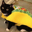TacoCat