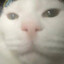 MilliSiS