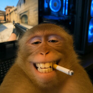 Qzersss