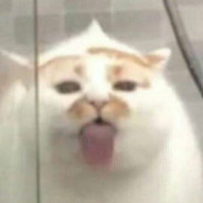 香蕉你个大香蕉