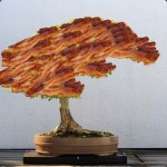 BaconBonsai