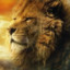 The King Aslan™