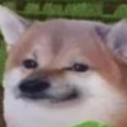 Zen - steam id 76561198075677906