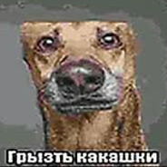 Уретральный_босс