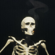 V_S_H