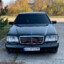 prok484