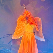 1000RPM RAT SPINNING CHAMBER