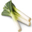 Leek