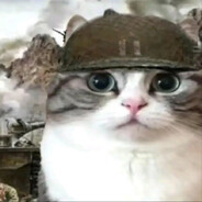 Nexxen - steam id 76561199566391056