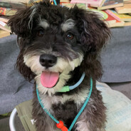 超级无敌暴龙兽