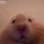 FreQuencyV2