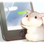 比奇堡描边画师章鱼哥