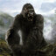 King Kong